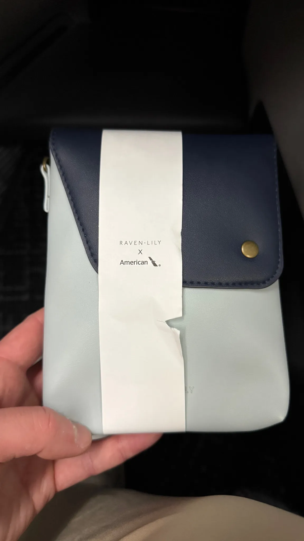 The Raven + Lily x American Airlines amenity kit.