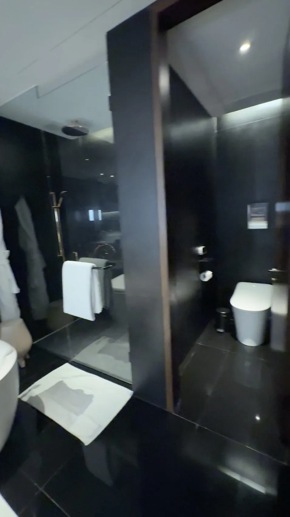 Park Suite King (current visit): thoughtfully separated bathroom spaces.