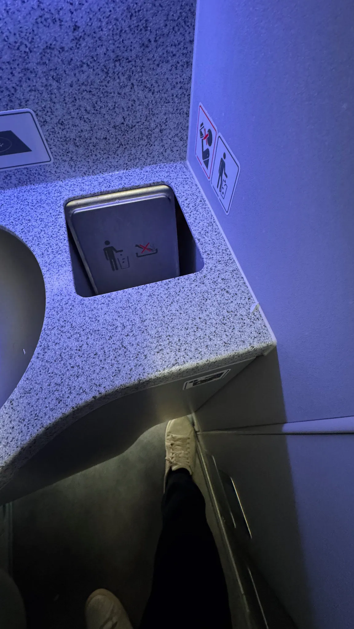The lavatory counter and waste flap. Yay for the foot pedal!!!