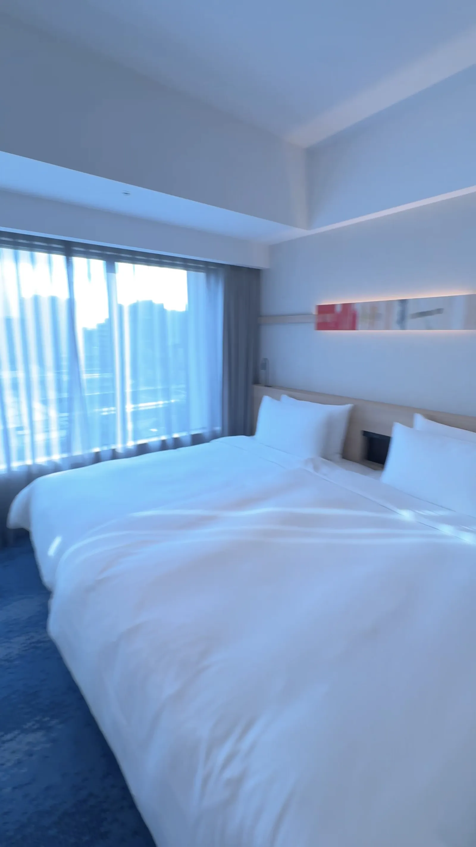 The sleeping area off the living room.