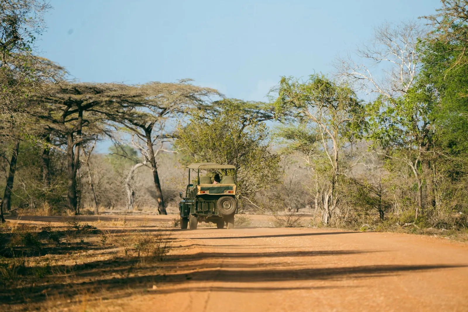 A safari jeep makes its way along the woodland tracks. Photo by Ahmed Rawahy.