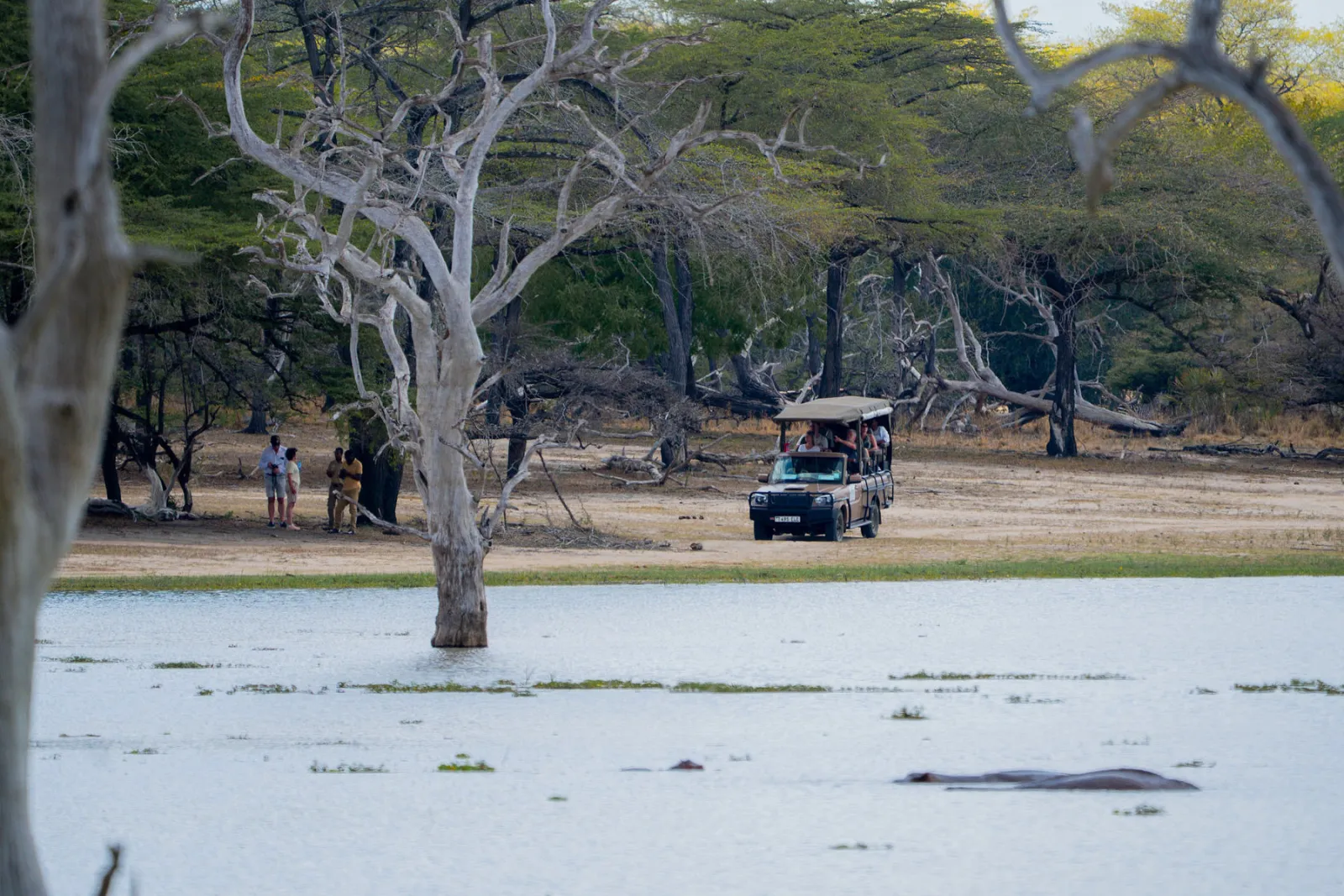 A safari vehicle on the far shore of a lake, with a hippo in the water. Photo by Ahmed Rawahy.