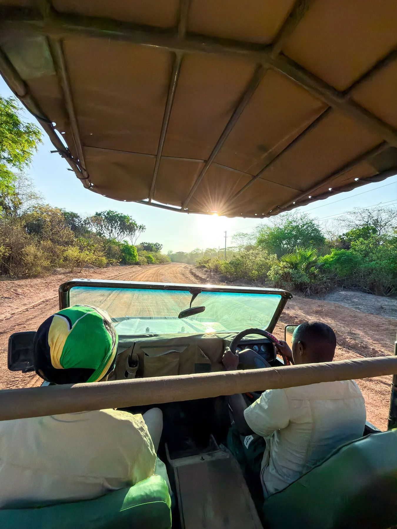 Looking ahead from our safari jeep as we head down a dirt road. Photo by Ahmed Rawahy.