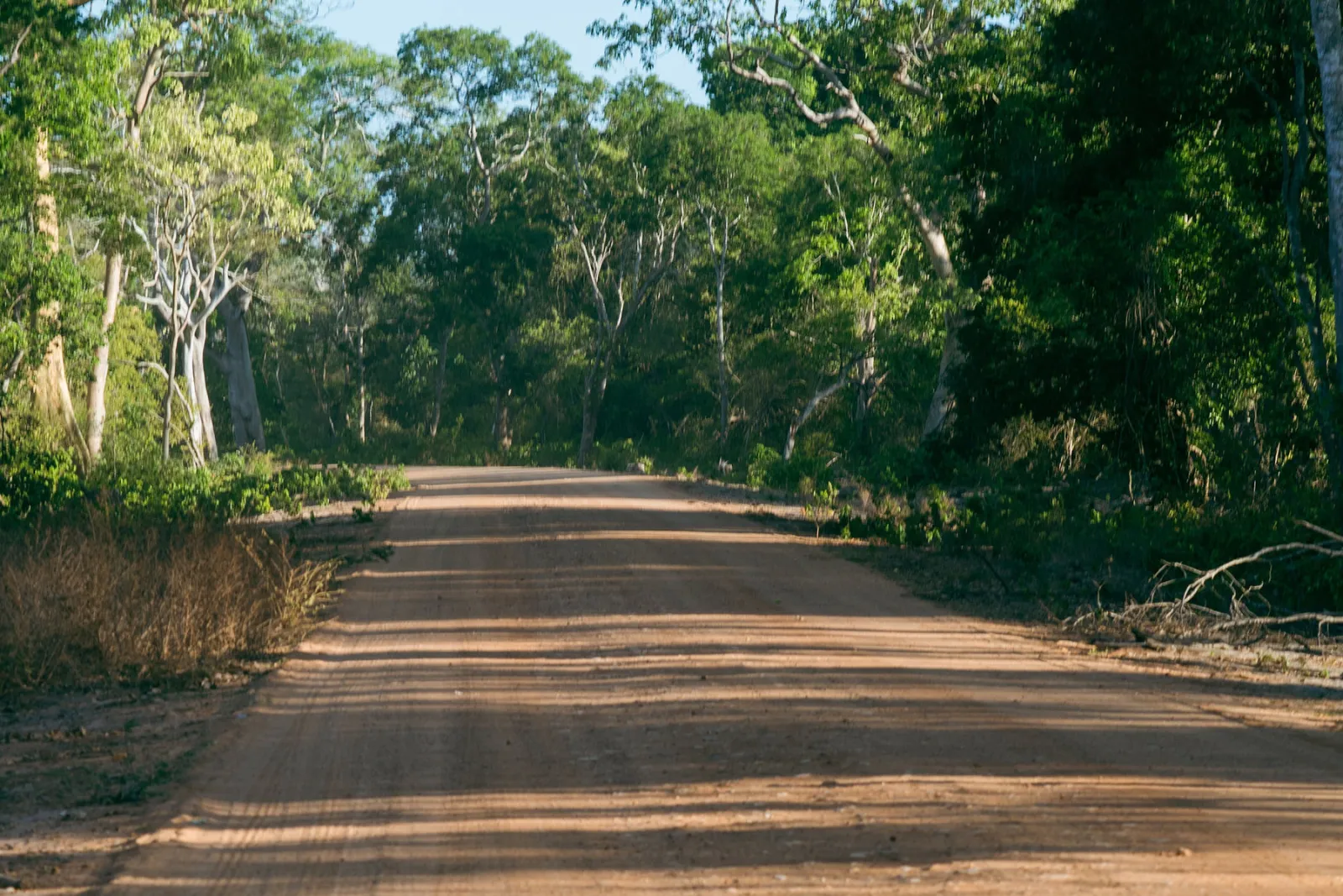 An open stretch of dirt road through the Tanzanian bush. Photo by Ahmed Rawahy.