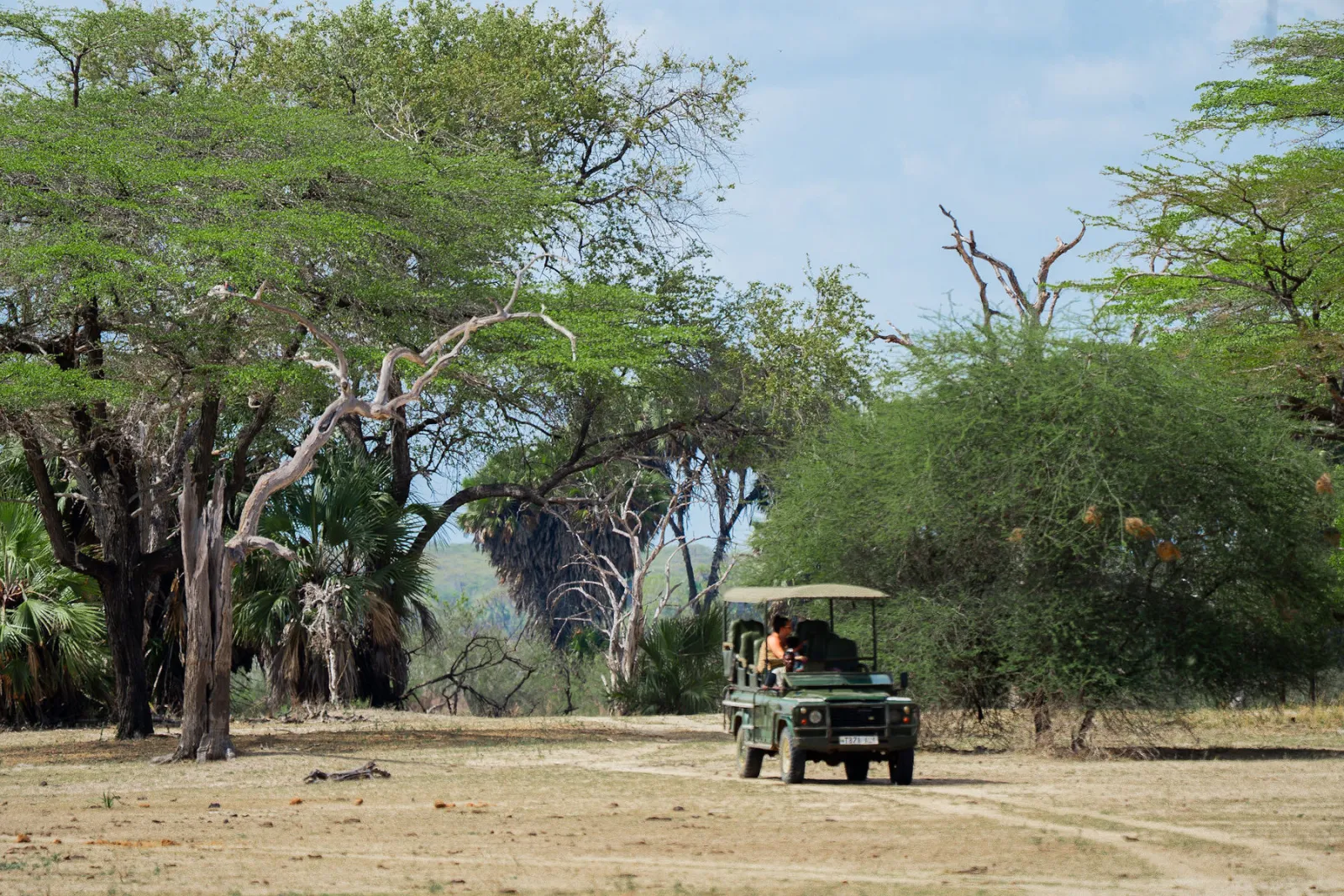 An open safari vehicle stops beneath the trees. Photo by Ahmed Rawahy.