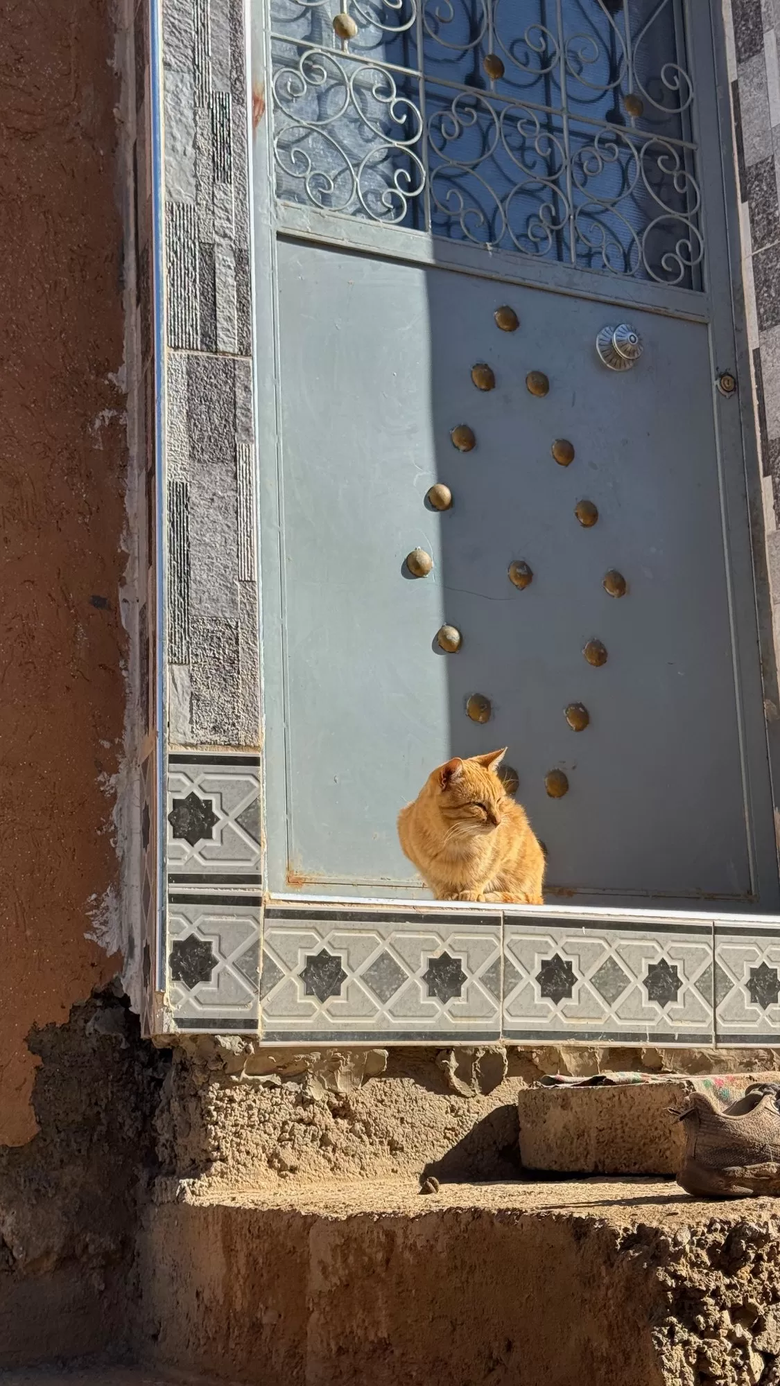 Just a local posing for the camera