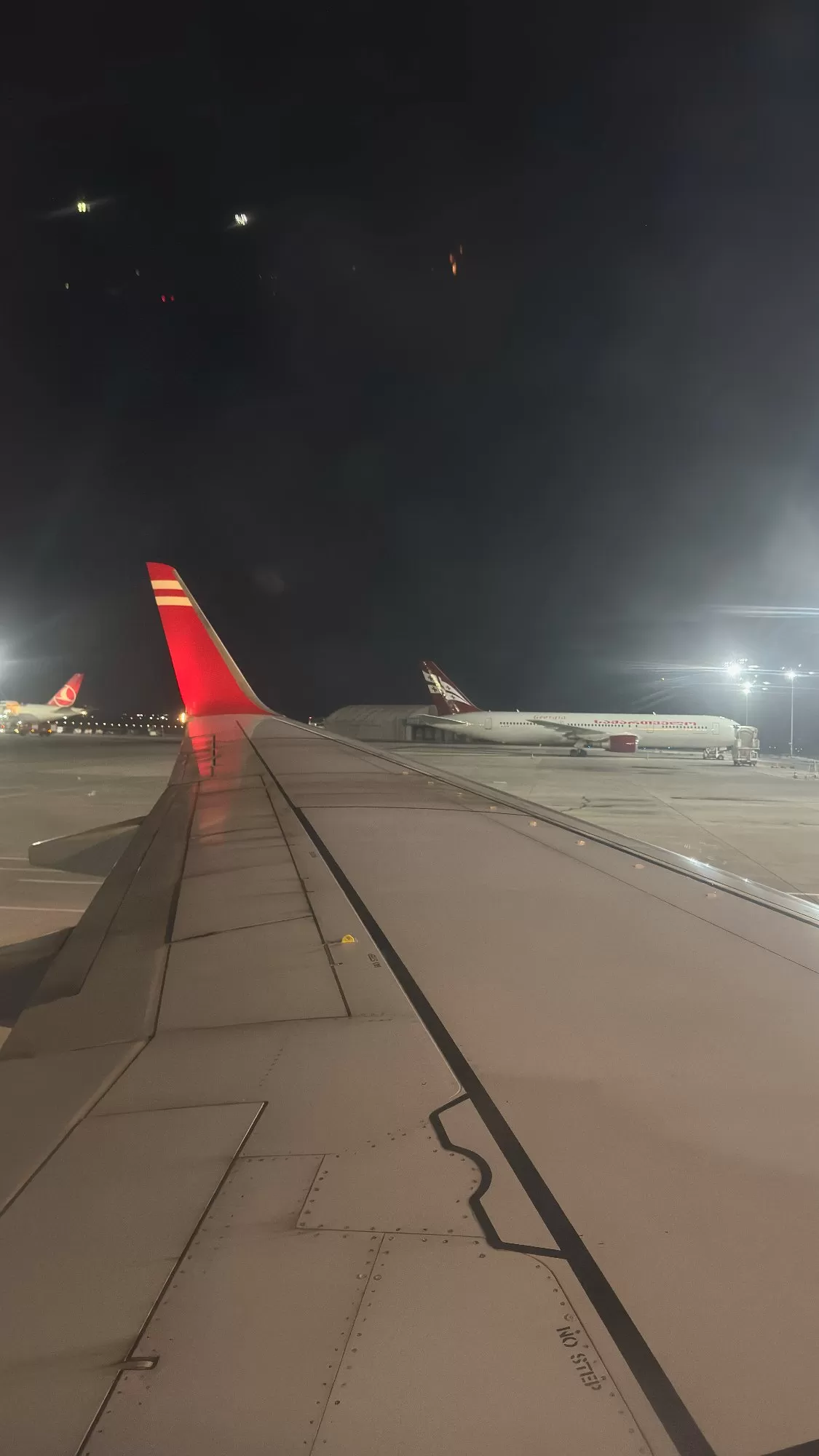 Our arrival in Tbilisi! Just waiting to get off which was a process on its own...